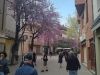 Barcelona_142