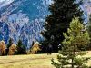 Mountain-Festival_53