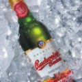 budvar